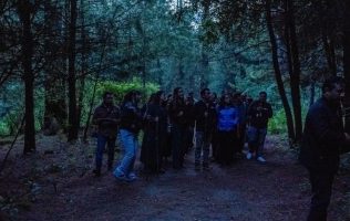 Supera Festival de las Luciérnagas los 57 mil visitantes en solo 3 días