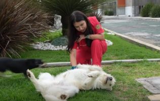 Transforma UAEMéx vida de perros para ayudar a niños con discapacidad4