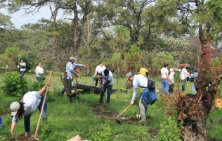 Únete a sembrar árboles en Huixquilucan durante jornada ambiental ciudadana