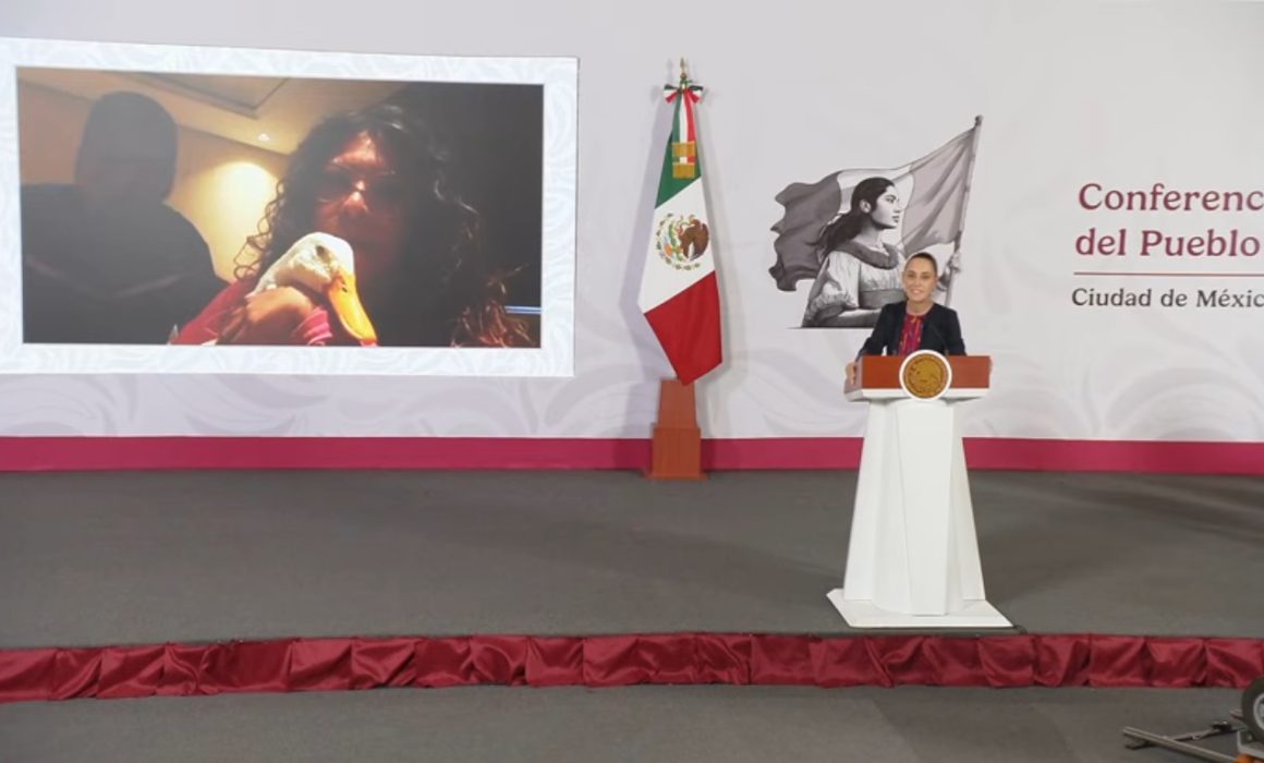 el pato Merlín ya tiene casa