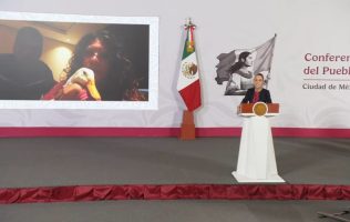 el pato Merlín ya tiene casa