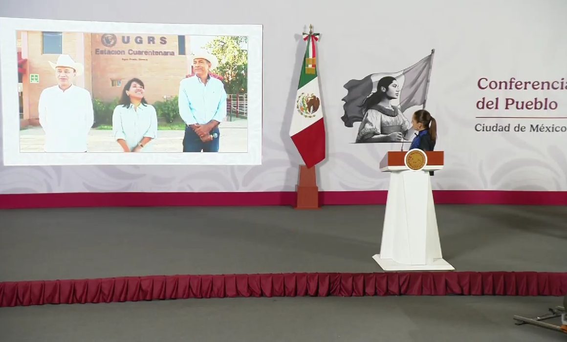 Abre Sonora frontera de ganado con EU, tras brote de gusano barrenador