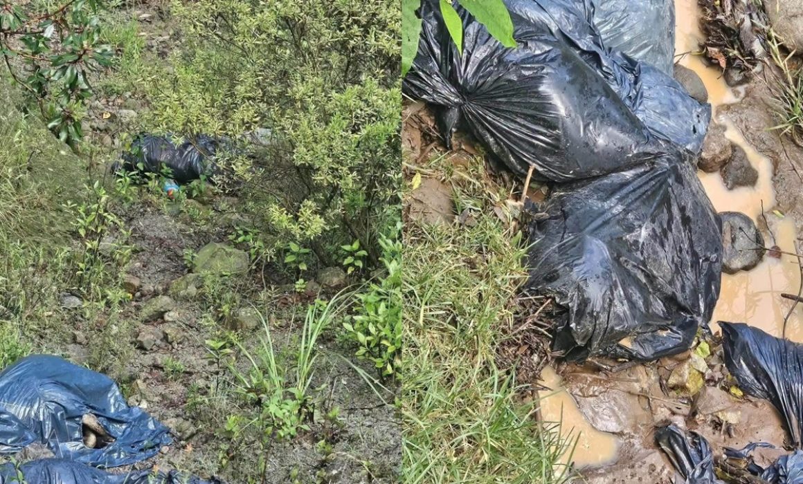 Aparecen perros muertos y embolsados en Naucalpan; investigan el caso