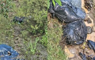 Aparecen perros muertos y embolsados en Naucalpan; investigan el caso