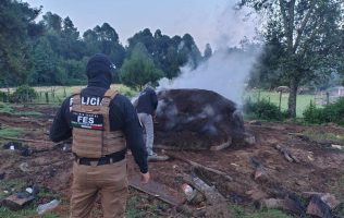 Aseguran 2 predios ligados a tala ilegal en Ocuilan
