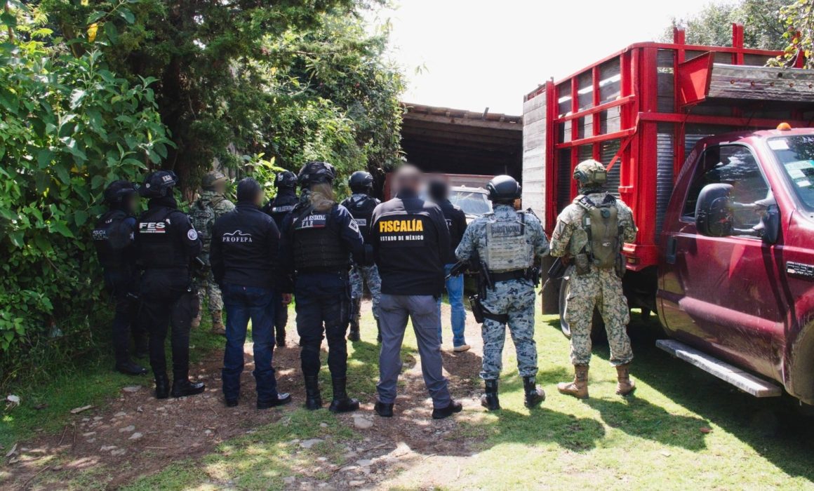 Clausura Profepa cuatro aserraderos clandestinos en Sierra de las Cruces