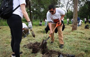 Dan oxígeno a pulmones de Naucalpan con nuevos árboles