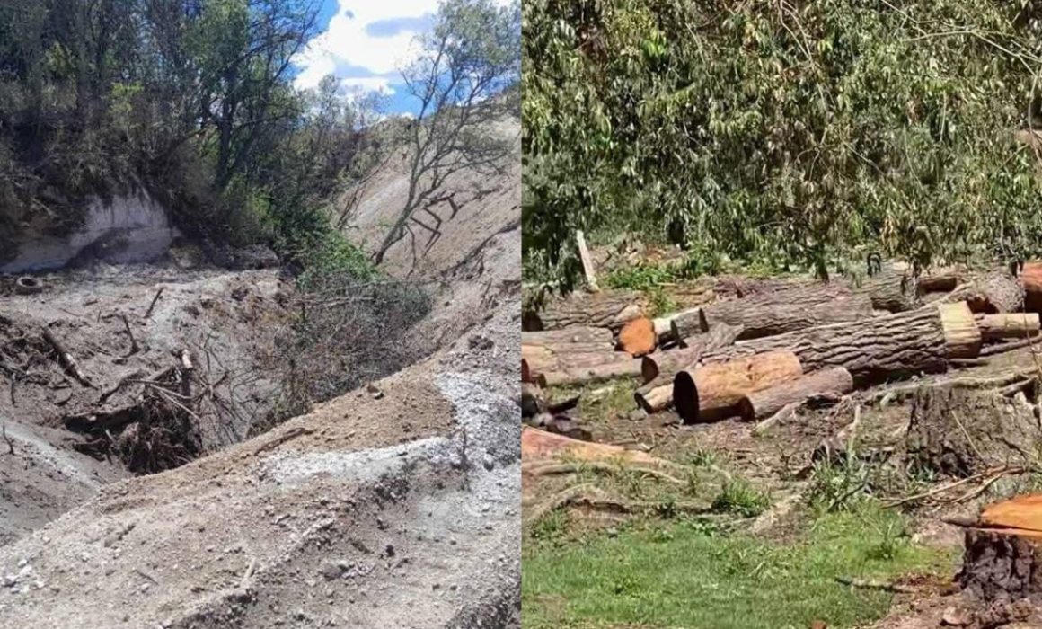 Denuncian tala y extracción con maquinaria en el Nevado de Toluca