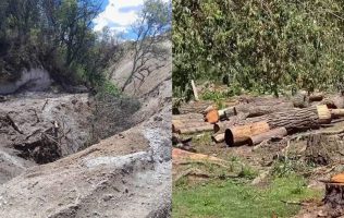 Denuncian tala y extracción con maquinaria en el Nevado de Toluca