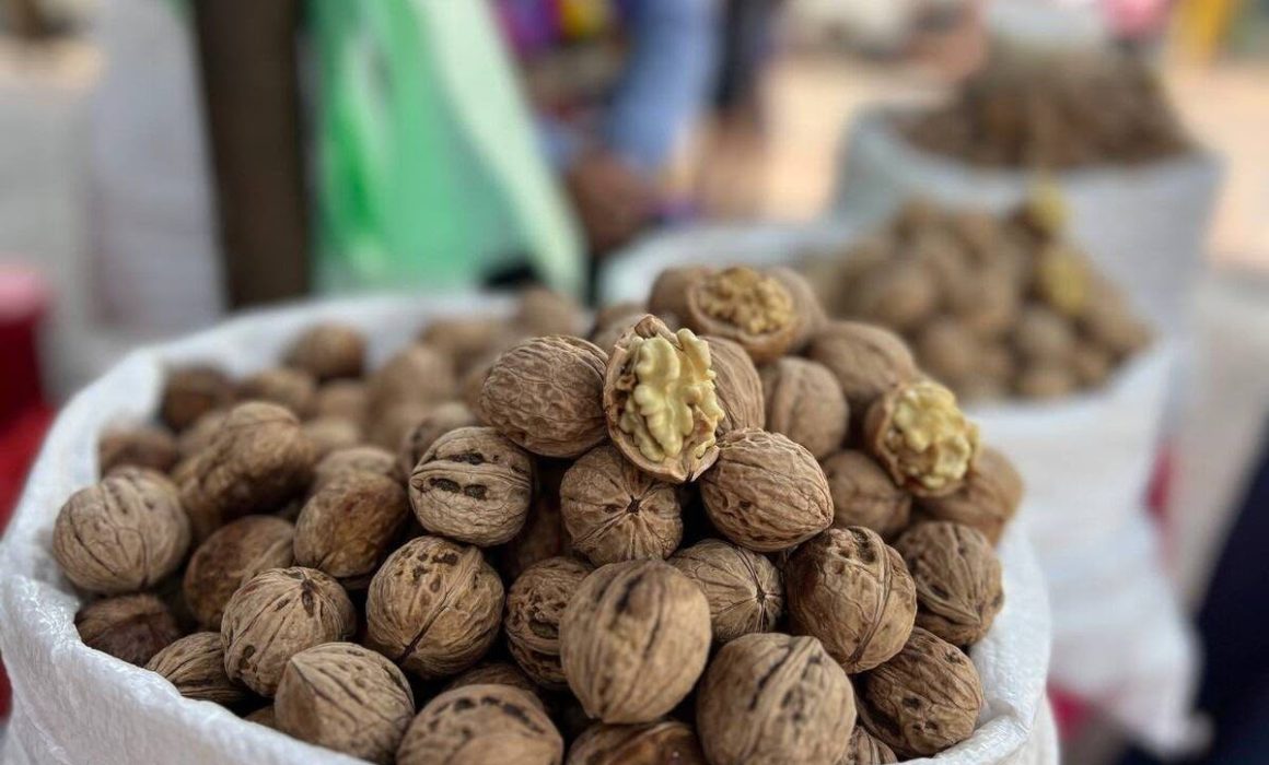 Descubre la Feria de la Nuez 2026 en Amecameca con sabor y tradición