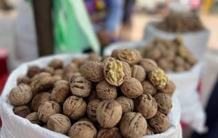 Descubre la Feria de la Nuez 2026 en Amecameca con sabor y tradición