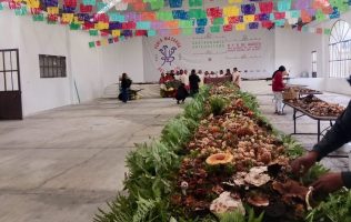 Fortalece Feria Mazahua del Hongo la identidad cultural de Donato Guerra