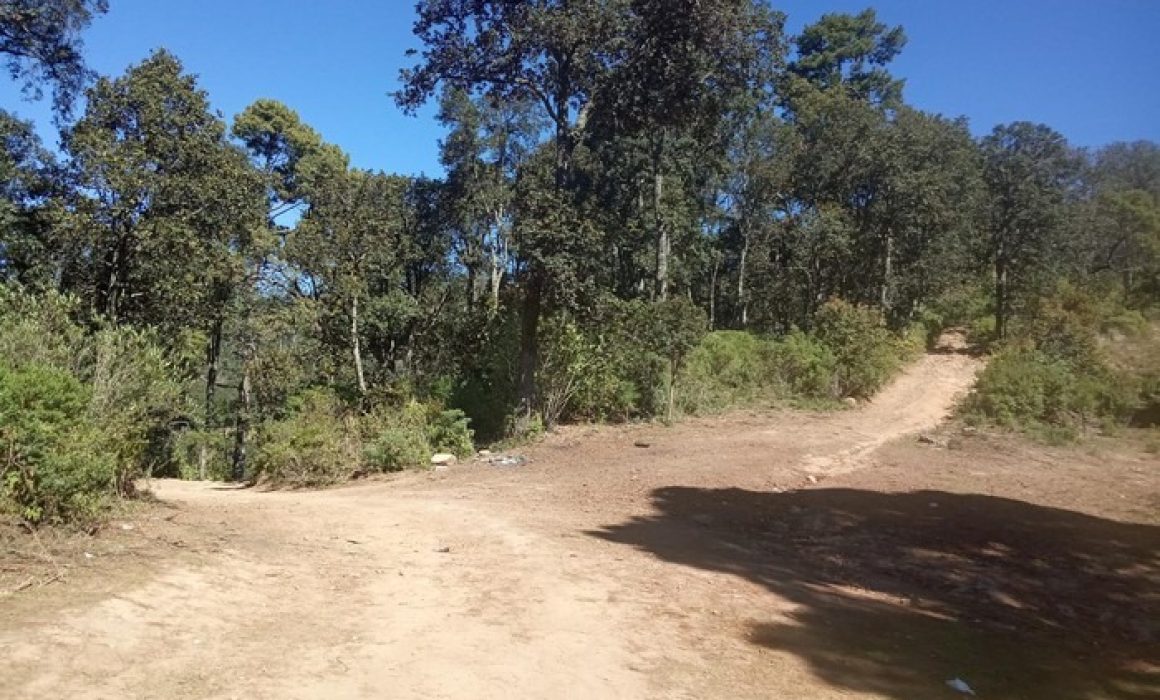 Hallan cuerpo calcinado de mujer en baldío de Ozumba