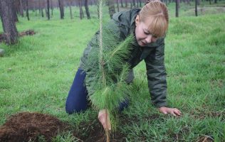Lanza Gobierno del Edomex mega reforestación; siembra vida en 13 parques