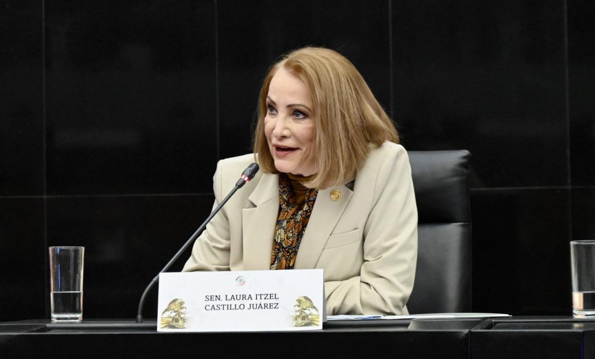Laura Itzel Castillo deja el Senado y asumirá Secretaría de las Mujeres