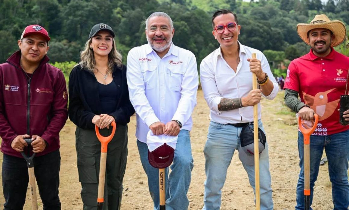Llama Zaira Cedillo a reforestar Ecatepec durante temporada de lluvias
