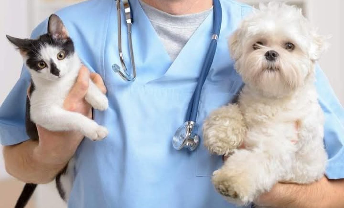 Participa en la Jornada de Salud Animal gratuita en Tlalnepantla