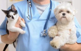 Participa en la Jornada de Salud Animal gratuita en Tlalnepantla