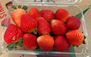 Podría impedir EUA la entrada de fresas mexiquenses