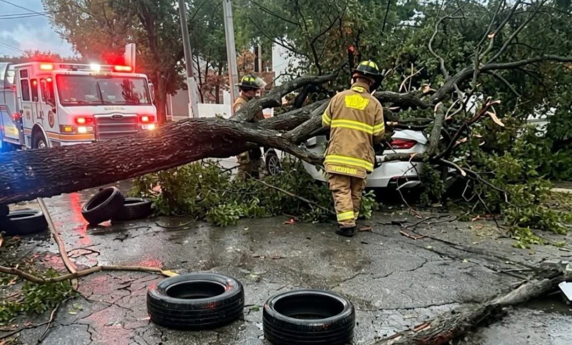 Provocan lluvias caída de árbol sobre auto en Ecatepec