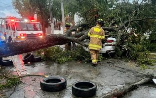 Provocan lluvias caída de árbol sobre auto en Ecatepec