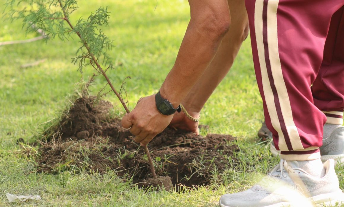 Reconoce Naucalpan éxito de jornada de reforestación en Parque Naucalli
