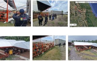 Recupera Fiscalía de Veracruz, ganado en el Estado de México