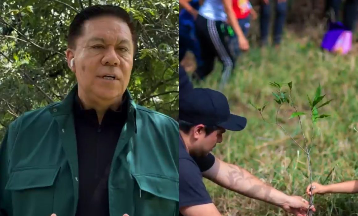 Reforestar México es sembrar soberanía