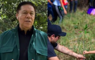 Reforestar México es sembrar soberanía