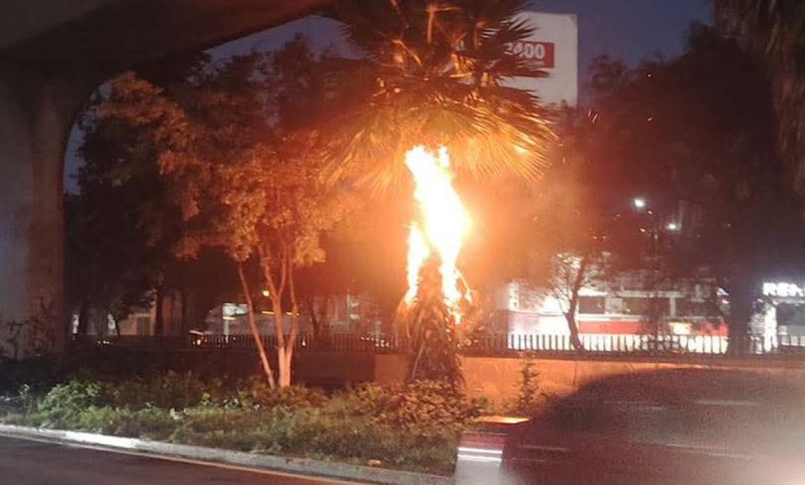 Reportan incendio en camellón de la México-Querétaro