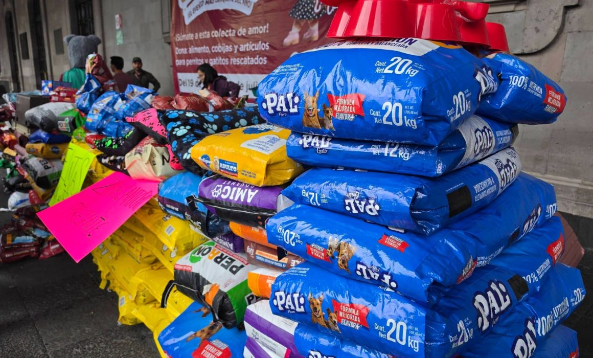 Reúne Croquetmanía histórica cifra de 93 toneladas de alimento en Edomex