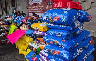 Reúne Croquetmanía histórica cifra de 93 toneladas de alimento en Edomex