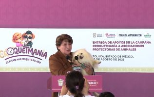 Reúne Gobierno del Edomex 94 toneladas de alimento con Croquetmanía