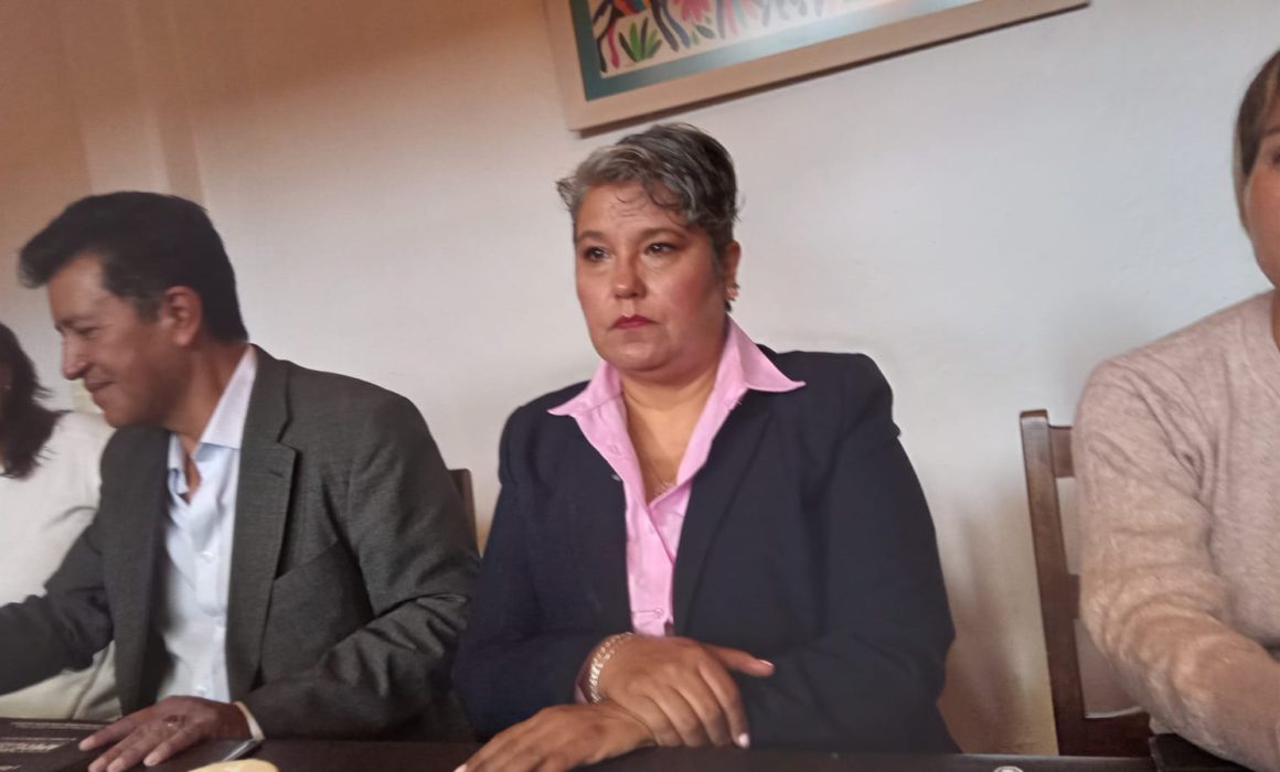 Revisará Morena perfiles de sus aliados en el caso de ir con PVEM PT