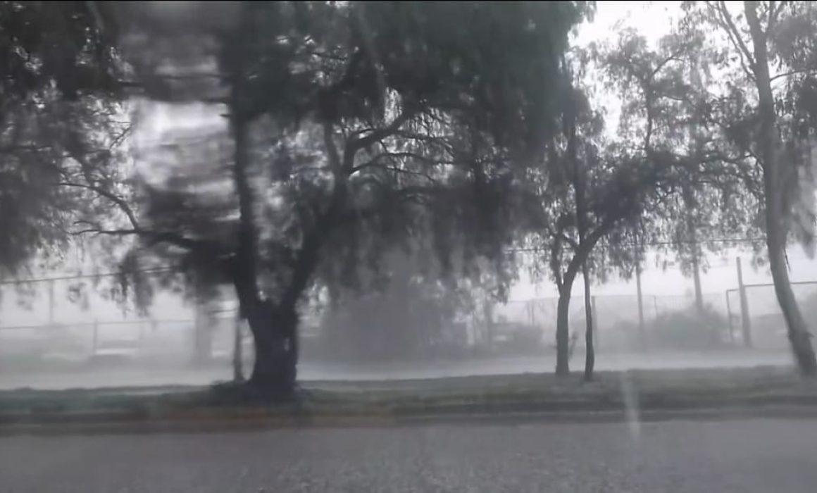 Sorprende granizada a tianguistas en Los Reyes La Paz