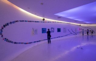 Usarán obras de arte para defender a las ballenas en México
