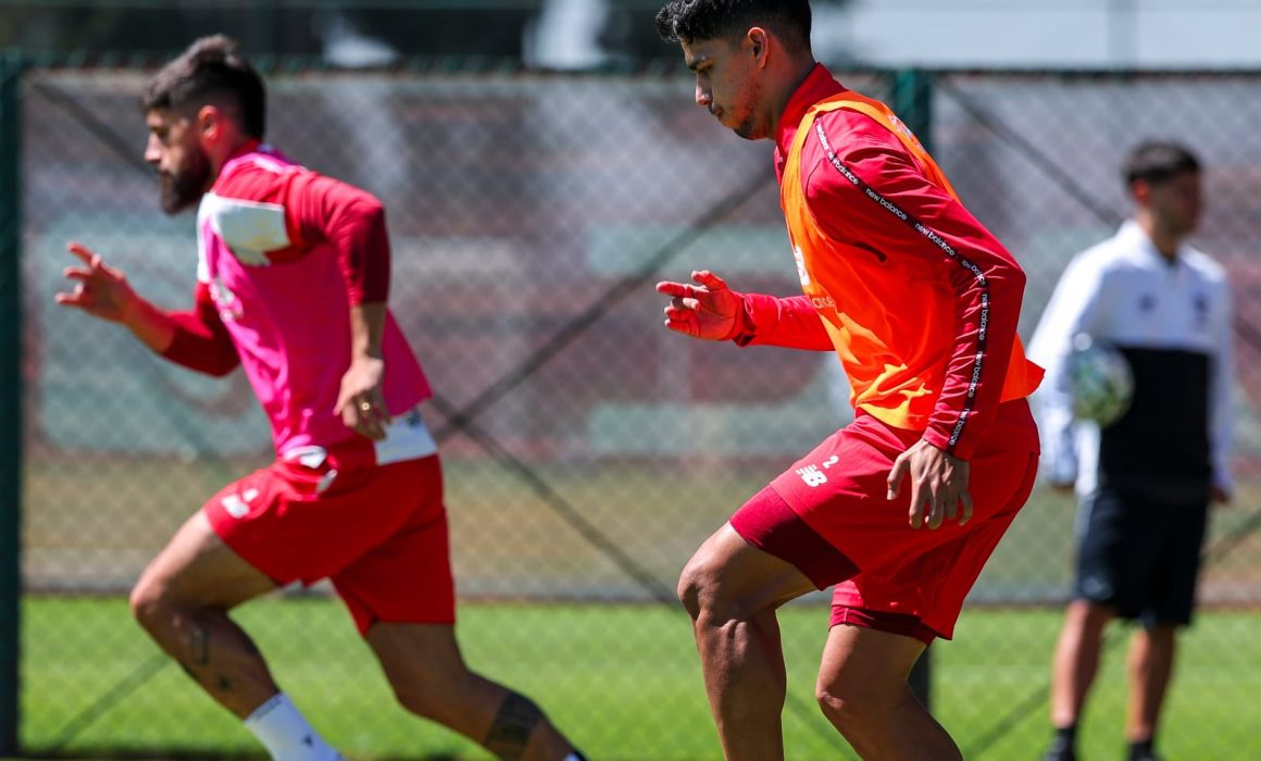Va Toluca a la caza de Gallos Blancos