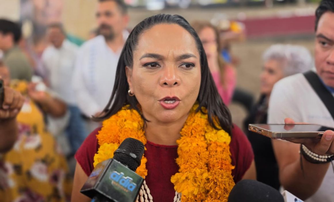 Ya aplicó Morena las encuestas en Guerrero, faltan resultados: Mojica