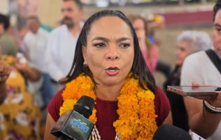 Ya aplicó Morena las encuestas en Guerrero, faltan resultados: Mojica