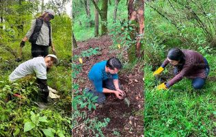 periodistas reforestan Tianguistenco