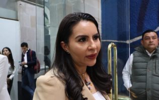 Acumula TEEM al menos 50 asuntos por violencia política de género