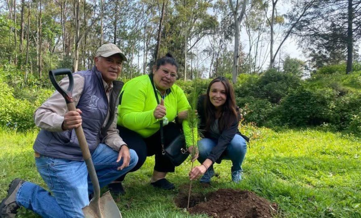 Alcanza Metepec 93% de meta de reforestación con 20 mil árboles