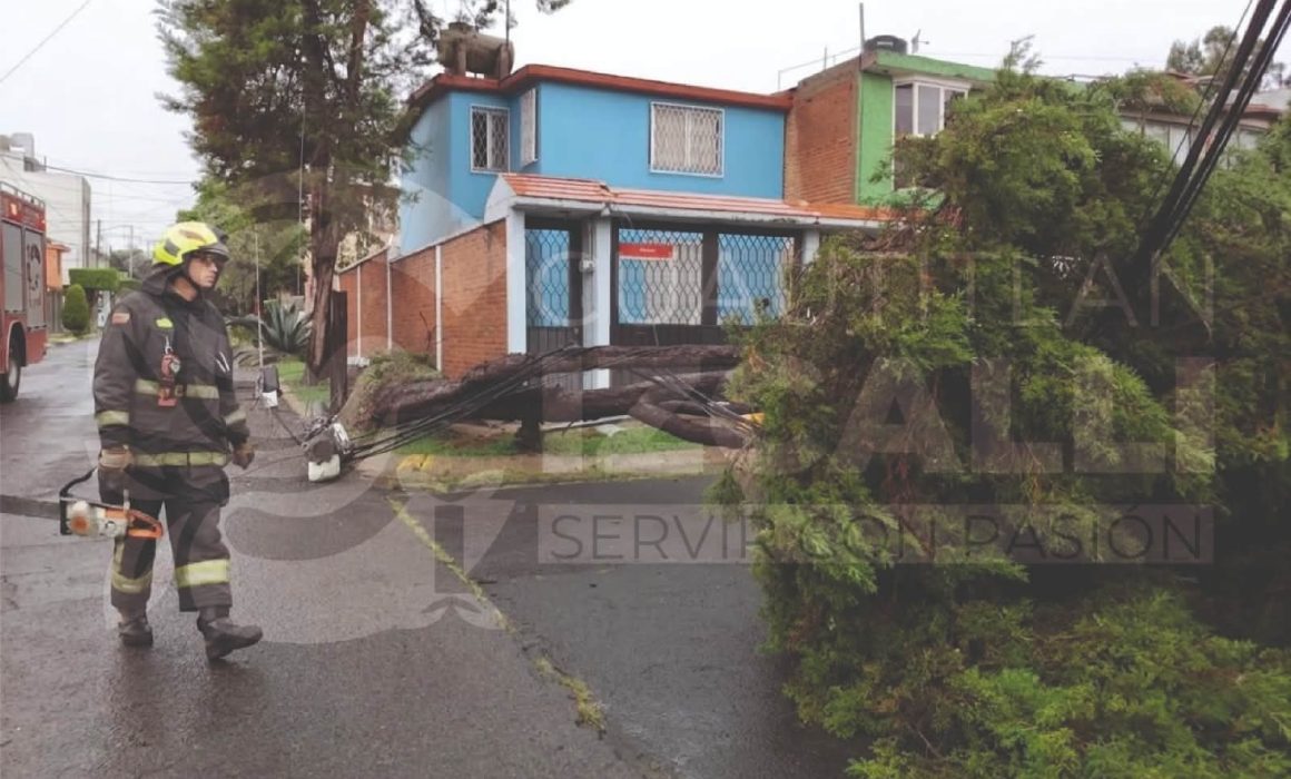 Atienden caída de árboles y anegaciones tras lluvia en Izcalli