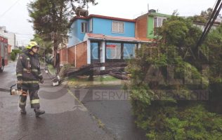 Atienden caída de árboles y anegaciones tras lluvia en Izcalli