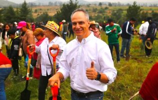 Busca Cuanalo frenar tala de bosques para exportar productos del campo 1