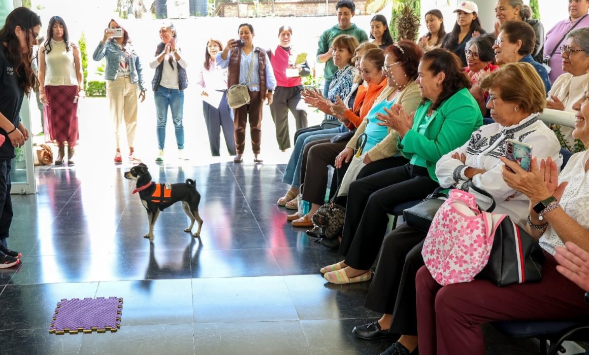 Concluye en la UAEMéx primera temporada de ‘Ven a Casa’