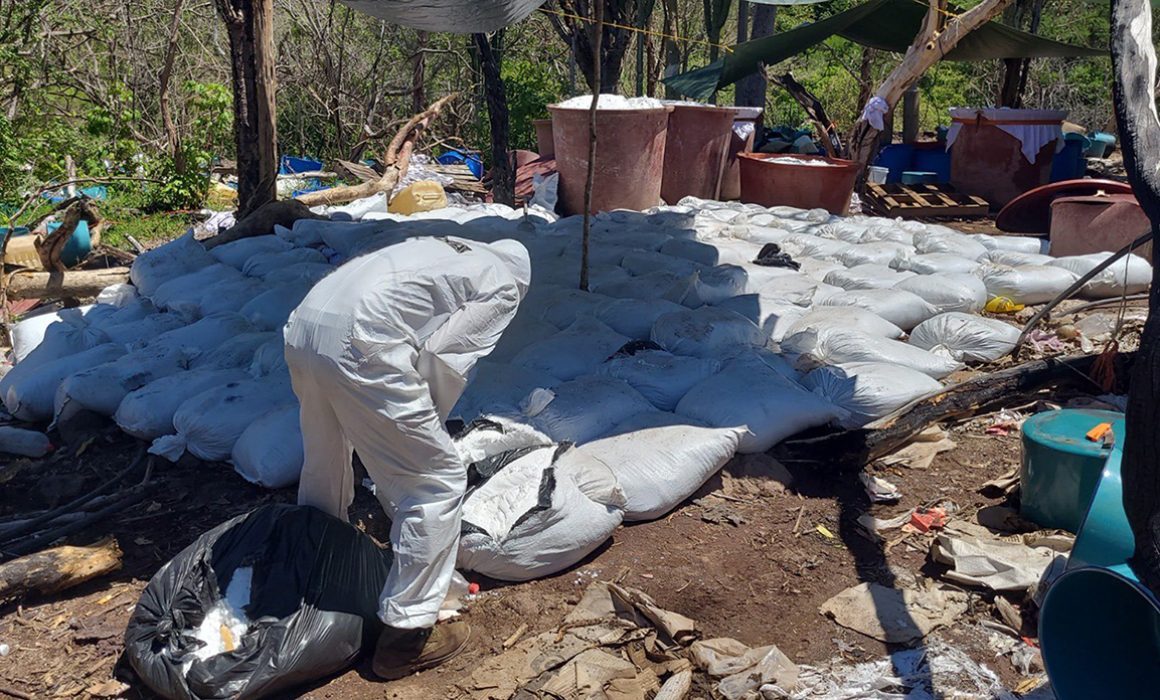DEA destaca golpe a 8 narcolaboratorios en México gracias a su trabajo