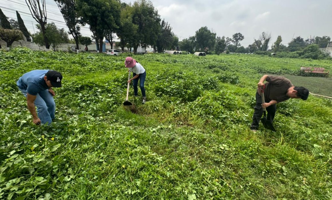 Enfrentan jóvenes mexiquenses obstáculos para hacer activismo ambiental