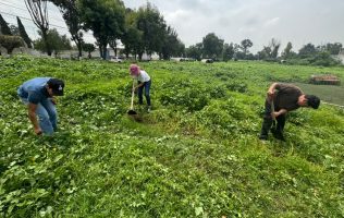 Enfrentan jóvenes mexiquenses obstáculos para hacer activismo ambiental
