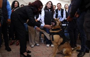 Inicia en Tecámac jornada estatal de vacunación antirrábica